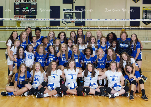 AMS Volleyball-043