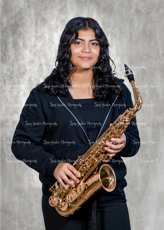24 SBA Band Ind-009
