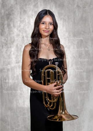 24 SBA Band Ind-016