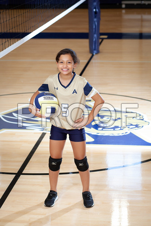 AMS Volleyball-02