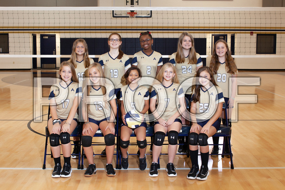 AMS Volleyball Team-03