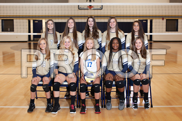 AMS Volleyball Team-01