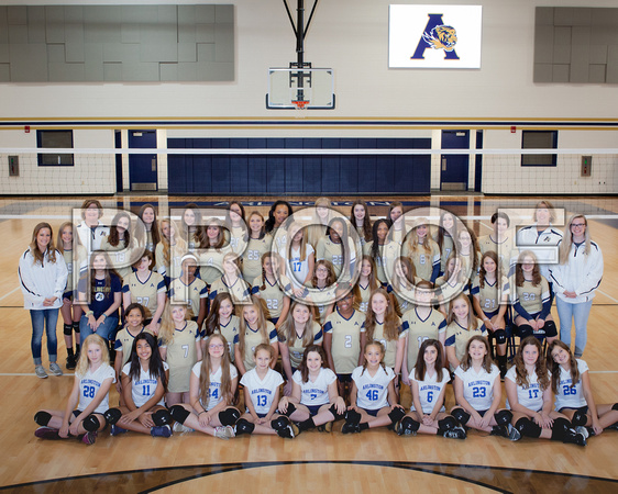 AMS Volleyball Team-12