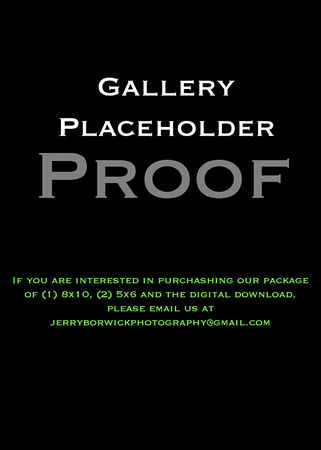 Gallery Placeholder