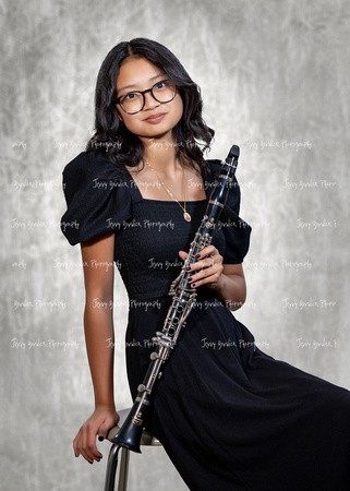 24 SBA Band Ind-012